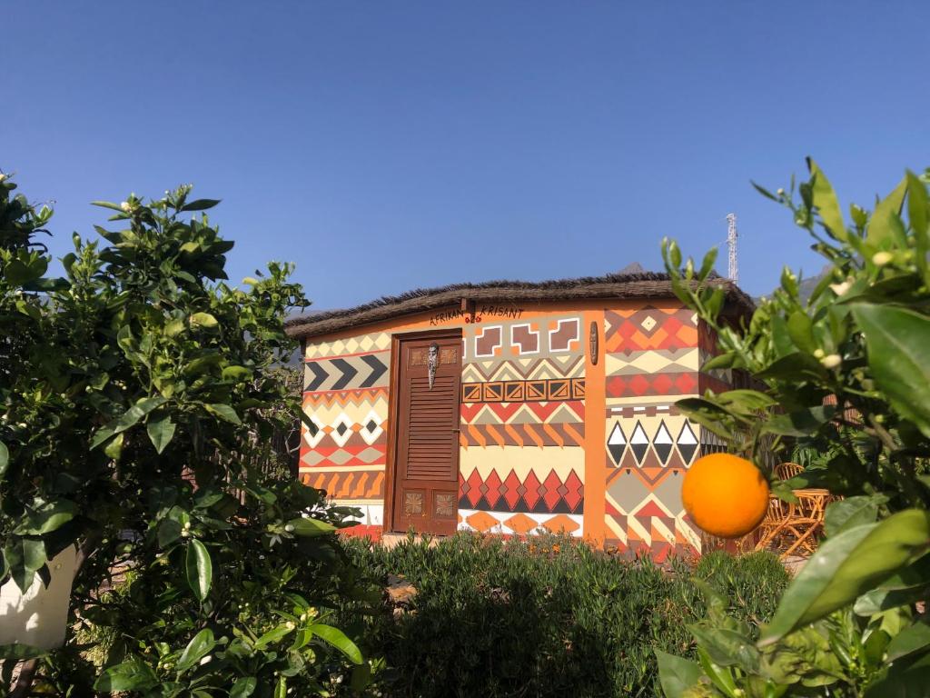an orange in front of a building with an orange at Afrikan Krisant Tenerife, Casa Rural Ecologica in Arafo