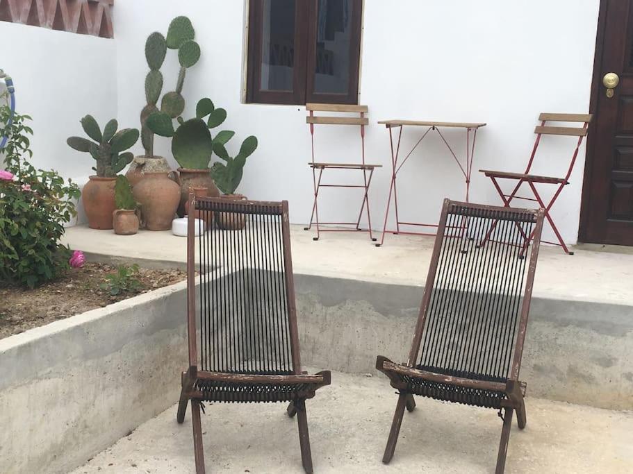 due sedie sedute di fronte a una casa con piante di A casinha a Encarnação