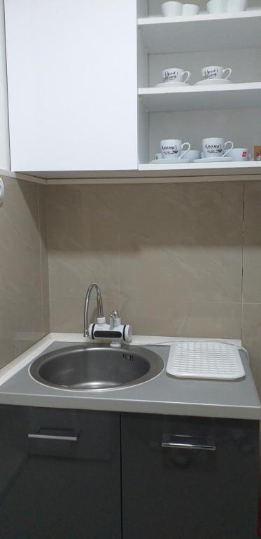 a kitchen counter with a sink in a kitchen at Apartman Marina Aranđelovac in Arandjelovac