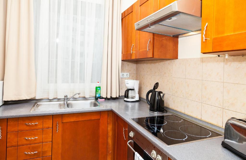 Kuchyňa alebo kuchynka v ubytovaní Nova Apartments