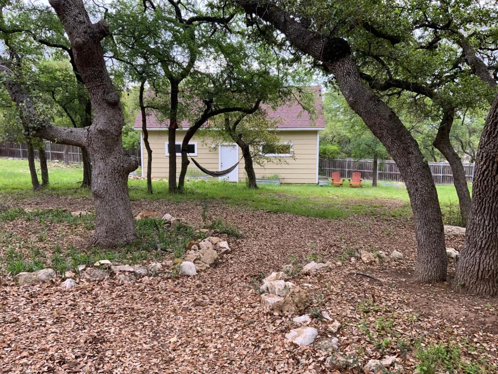 eine Gruppe von Bäumen mit einem Haus im Hintergrund in der Unterkunft Boulder Bluff Inn in San Marcos