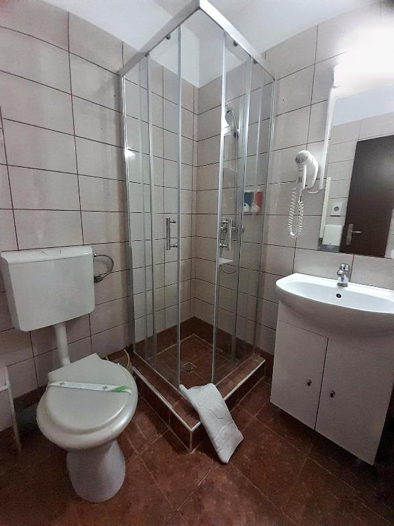 Koupelna v ubytování Hotel Alexis