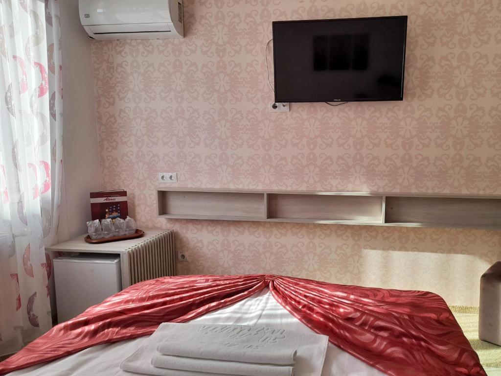 TV a/nebo společenská místnost v ubytování Hotel Alexis