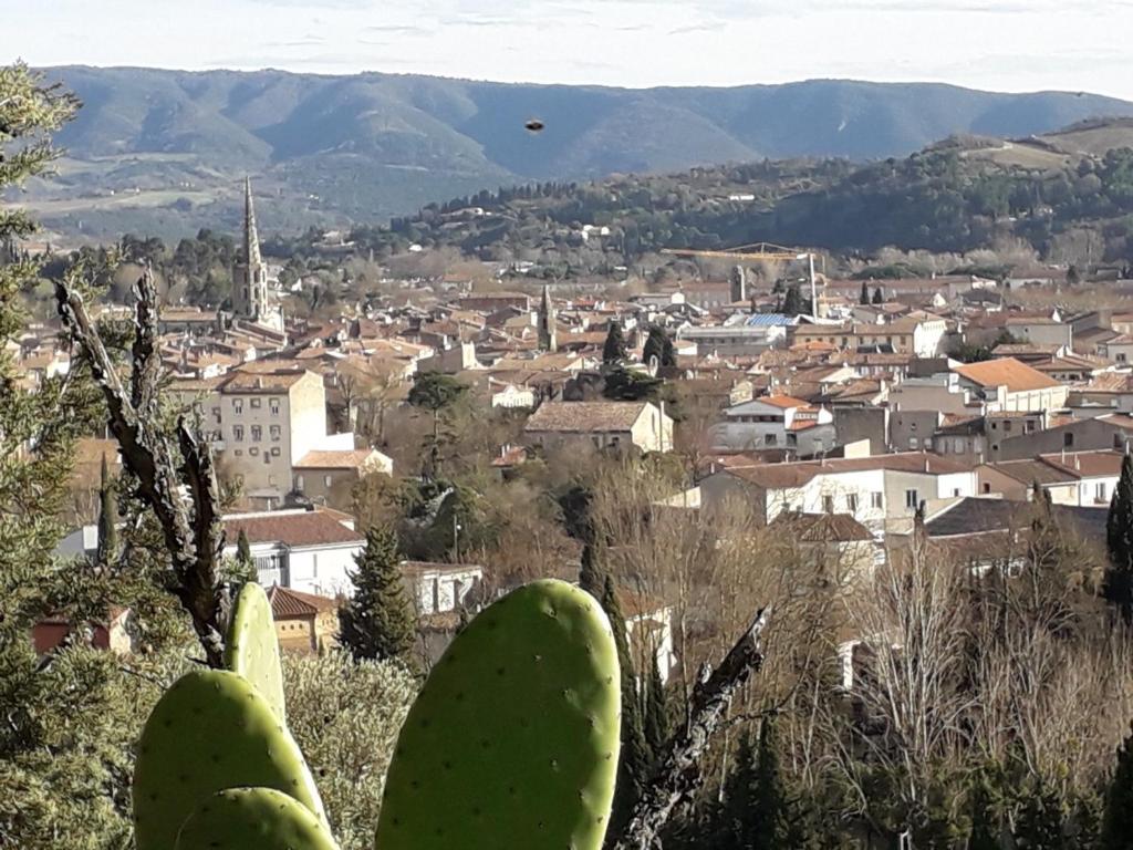 uitzicht op een stad met een stad bij La Maison de Chouquette in Limoux