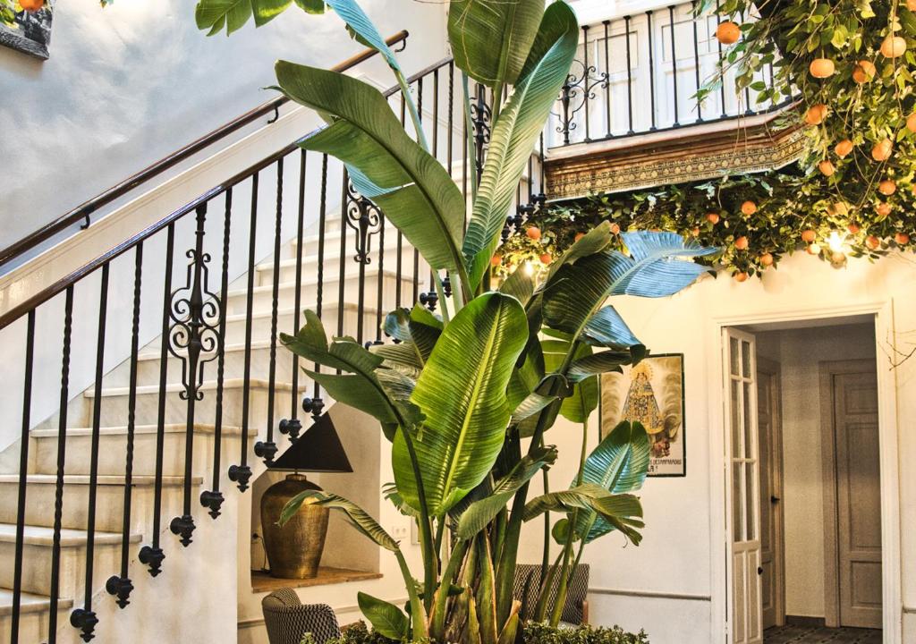 een trap met een plant ervoor bij Casa Rural Casa Levante in Arcos de la Frontera