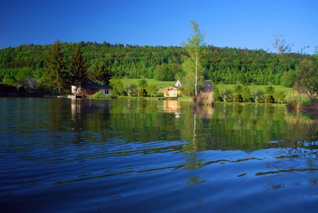 a large body of water with houses and trees at Apartamenty Cichy Zakątek in Kudowa-Zdrój