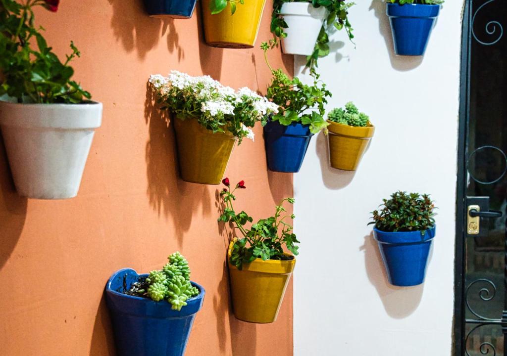 Casa Rural Casa Levante - 13