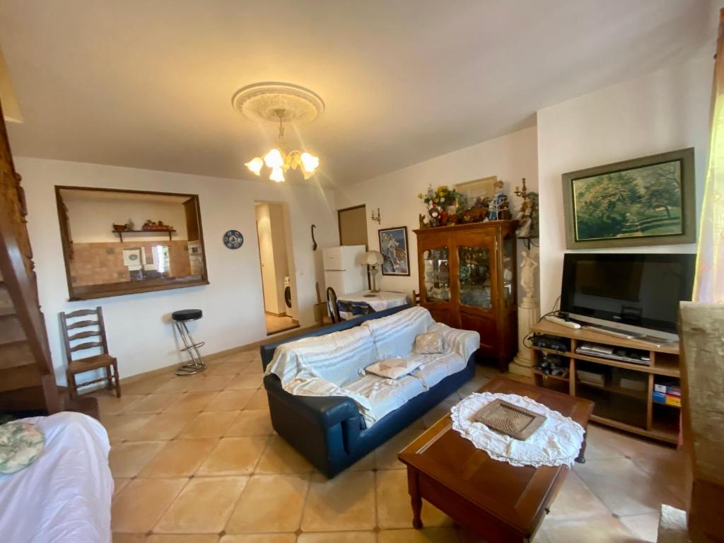 sala de estar con sofá azul y TV en Charmant appartement T2 65m² en Quenza
