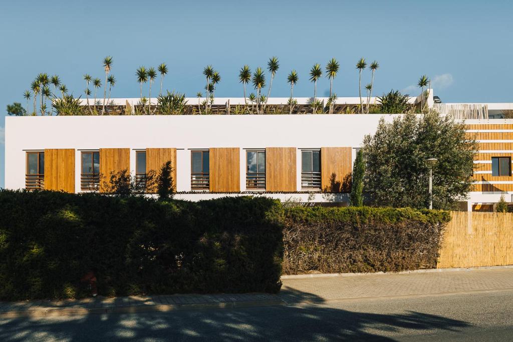 a white building with palm trees on top of it at AlmaLusa Comporta in Comporta