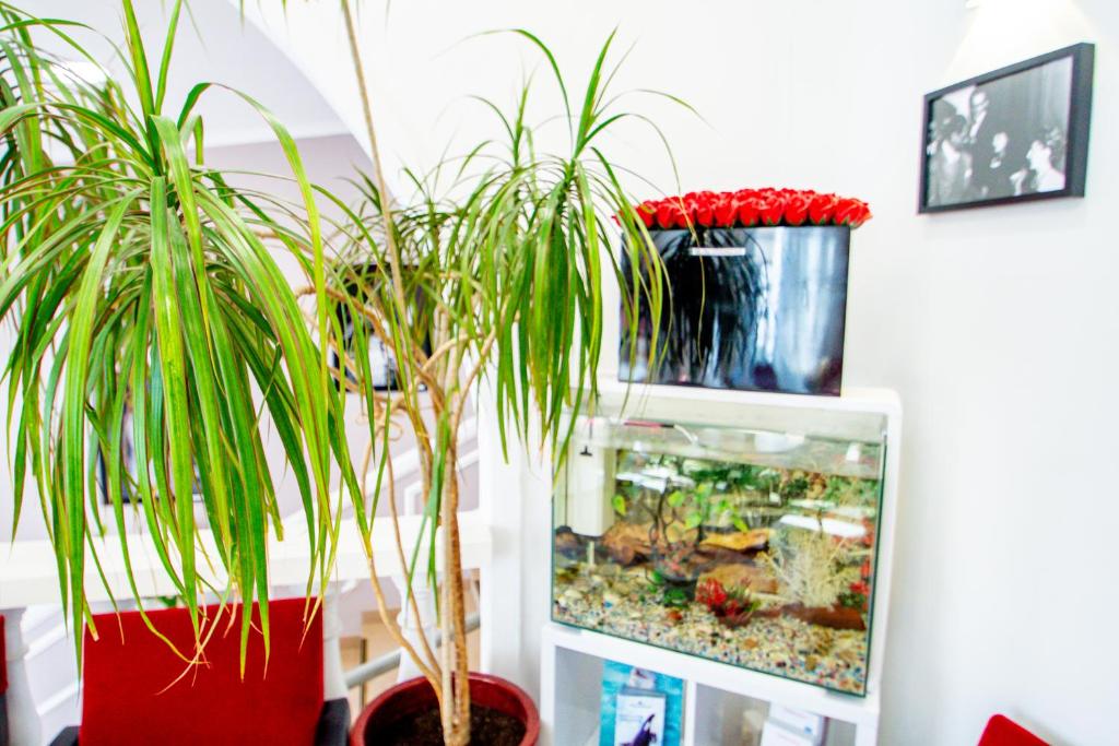 Hôtel Parisien - Resim 11