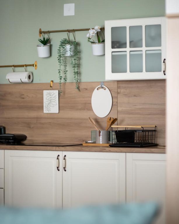 Kuchyň nebo kuchyňský kout v ubytování Tarvil Apartmani - Zaovine