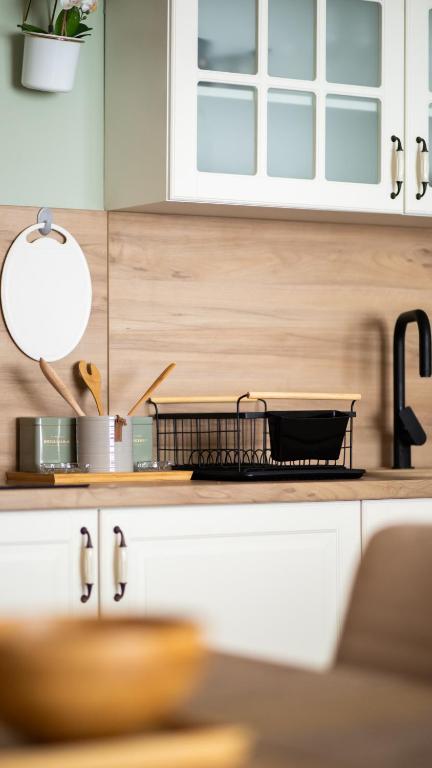 Kuchyň nebo kuchyňský kout v ubytování Tarvil Apartmani - Zaovine