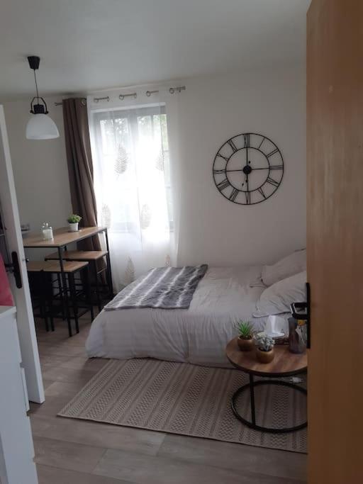 Posteľ alebo postele v izbe v ubytovaní Superbe petit studio plein centre ville