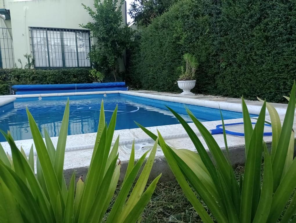 una piscina en un patio con plantas en Mariposas del Parque en Tandil