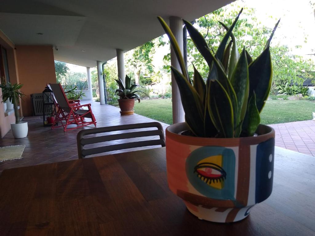 une plante en pot assise sur une table en bois dans l'établissement Mi AN HOME, à Paese
