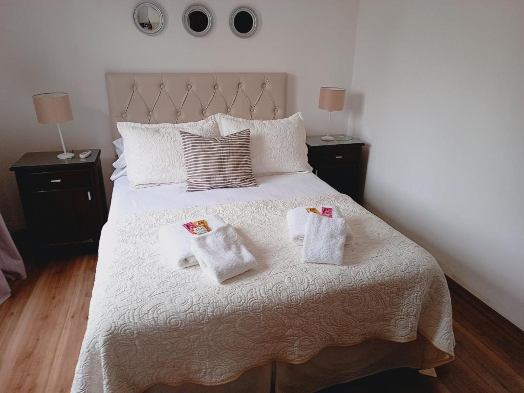 ein Schlafzimmer mit einem Bett mit zwei Kissen darauf in der Unterkunft Depto 1 San Jorge in Villa María