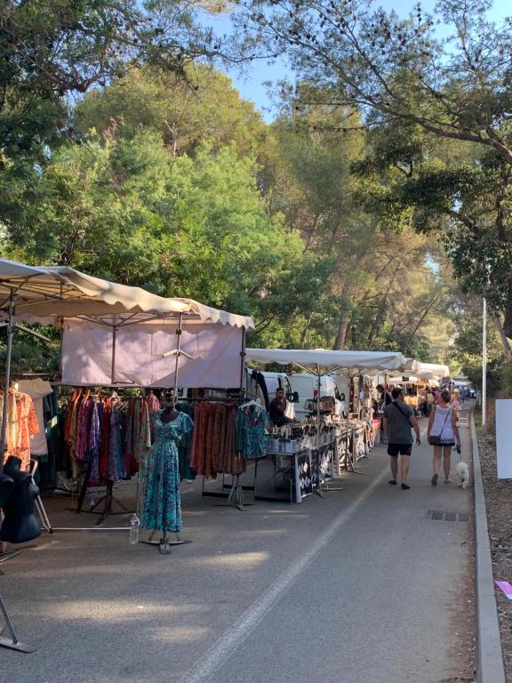 Hostia v ubytovaní Studio 3 pers climatisé rénové, au calme, idéalement situé proche St Raphael-St Tropez, plage et commerces à pieds