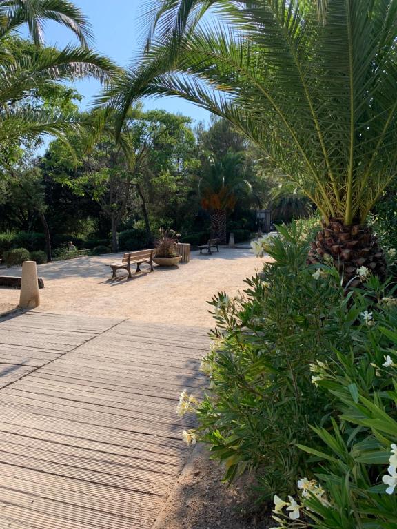 Vonkajšia záhrada v ubytovaní Studio 3 pers climatisé rénové, au calme, idéalement situé proche St Raphael-St Tropez, plage et commerces à pieds