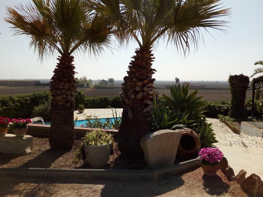 The swimming pool at or close to Casa Lorena