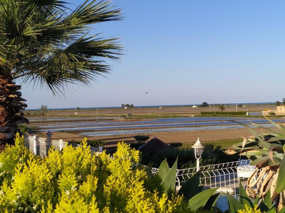 Táj Show holiday homes közelében
