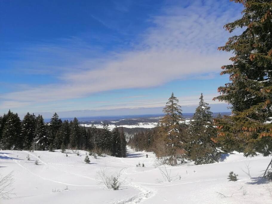 a snow covered field with trees and a sky at Appartement hyper centre in Lons-le-Saunier