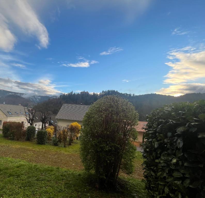 Příroda nedaleko apartmánu