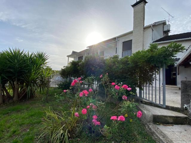 una casa con flores rosas delante de ella en Casa da Rosa, en Carvalheira Grande