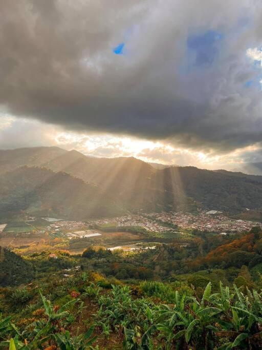 Orosi Mountain Lodge, Orosí Precios actualizados 2023