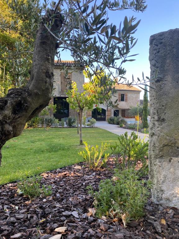 une cour avec un arbre et une maison dans l'établissement Mas Gabriel - St Rémy de Provence, à Saint-Rémy-de-Provence
