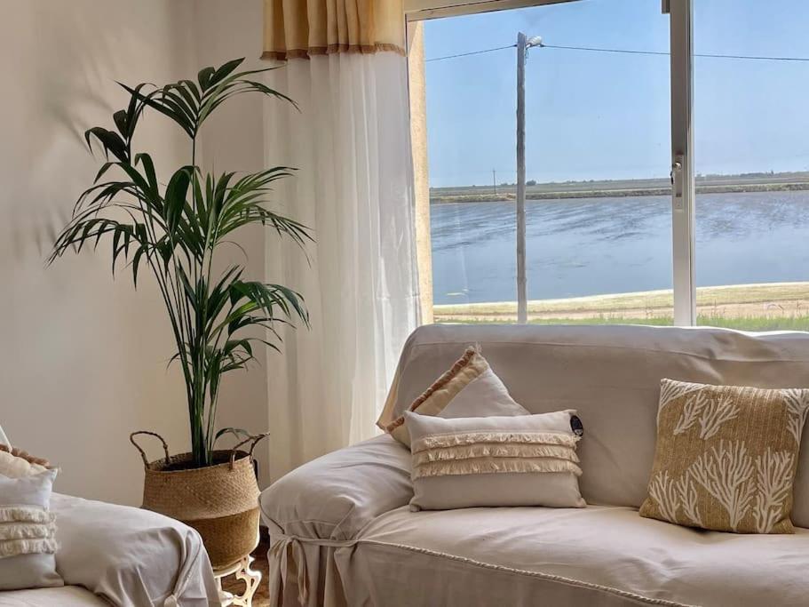 un sofá blanco en una sala de estar con una planta en El Mirador: Un lugar único en el Corazón del Delta, en Els Muntells