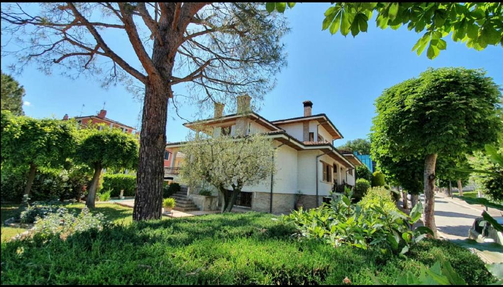 ein altes Haus mit einem Baum im Hof in der Unterkunft Affittacamere Villa Sofia con uso cucina e ampio giardino in Calcinelli