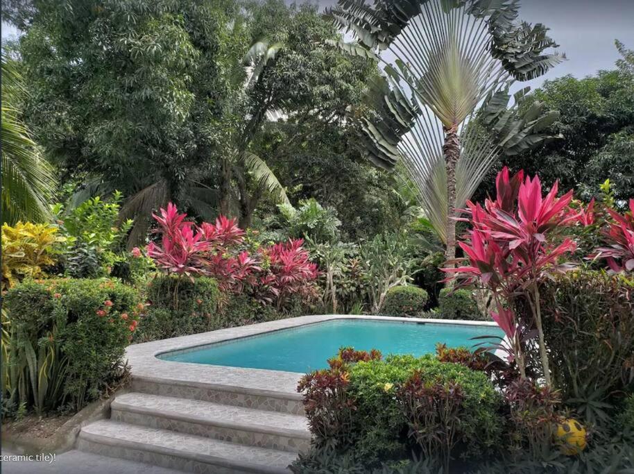 a swimming pool in a garden with flowers and trees at Casa Sammie: True Costa Rica in Tarcoles