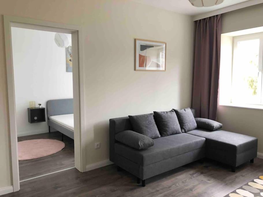 - un salon avec un canapé et une fenêtre dans l'établissement Quattro Casa, à Sopron