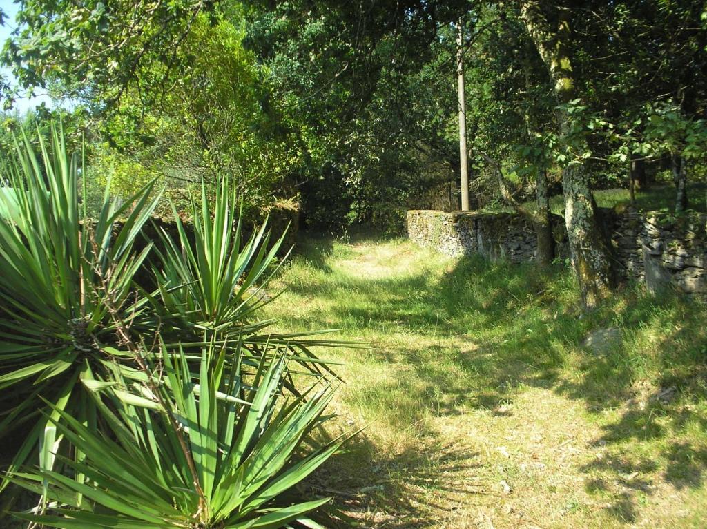 A garden outside A Pena de Augasantas