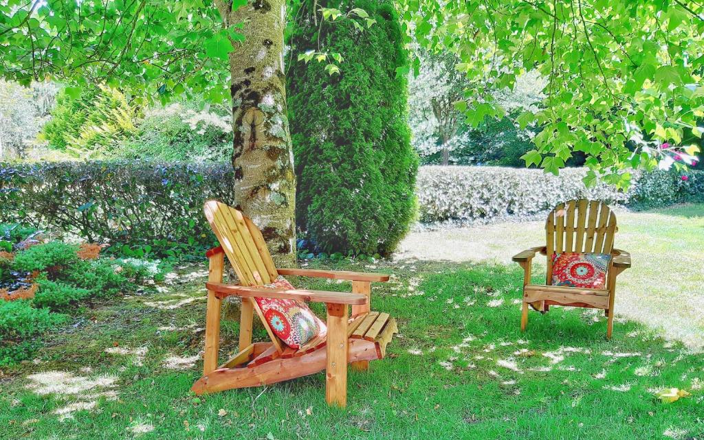 two chairs sitting in the grass under a tree at Villa Saint Kirio - piscine et spa in Morlaix