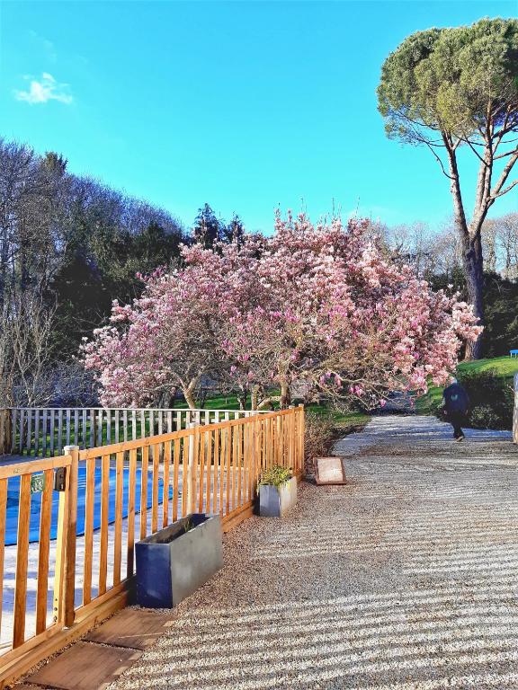a wooden fence with a pink flowering tree behind it at Villa Saint Kirio - piscine et spa in Morlaix