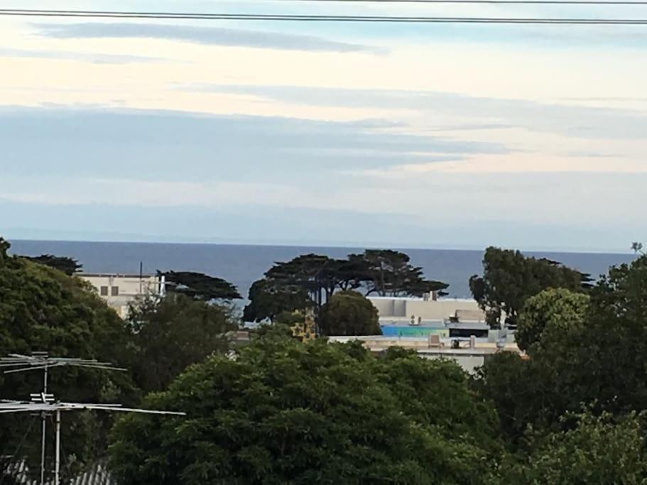 a view of a beach with trees and the ocean at Heart of Torquay - Whitewater Apartment - Torquay in Torquay