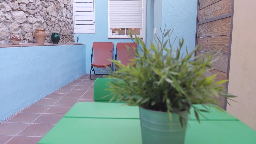 a potted plant sitting on a table next to two chairs at Del Parque Flats Pina Beach in Málaga