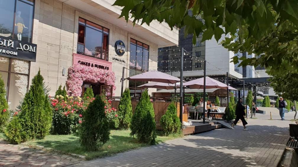 Comfort apartment in the center Bishkek