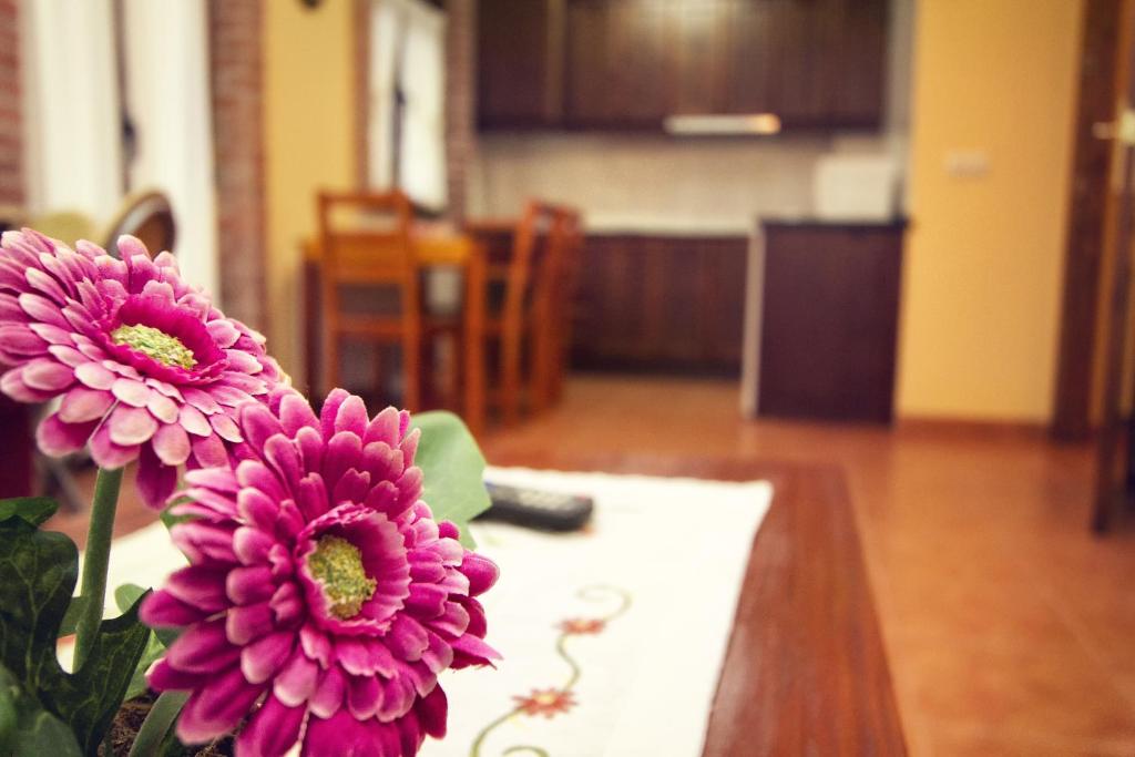 Apartamentos el Caserón - 4