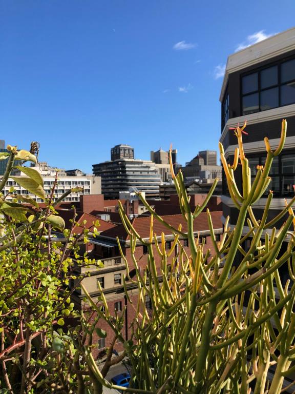 Gallery image of Exotic City Loft & Cat Condo in Cape Town