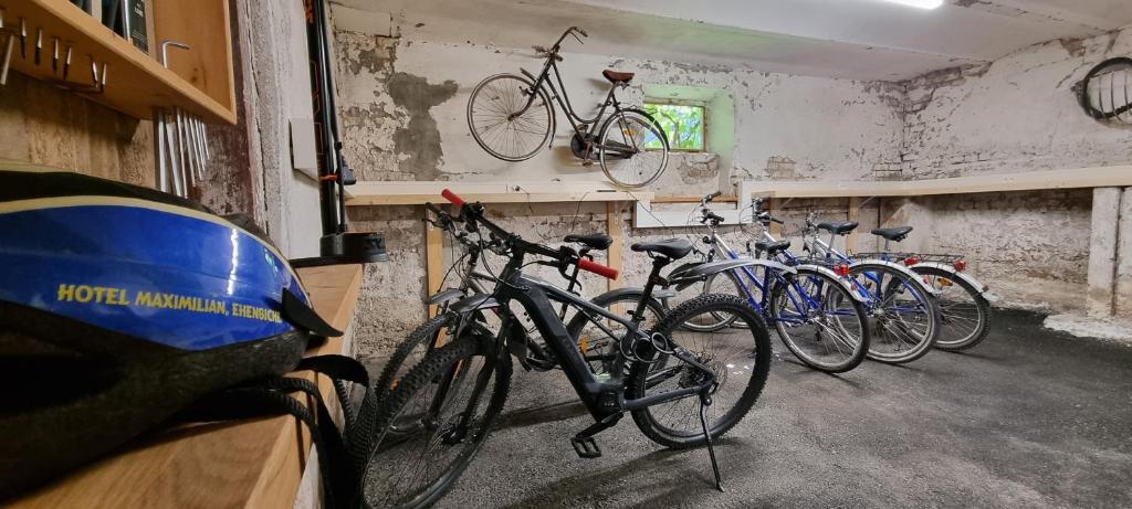 Jízda na kole v ubytování Hotel Maximilian nebo okolí