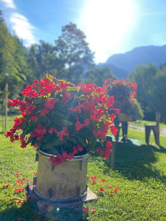 Zahrada ubytování Turistična kmetija Čerček