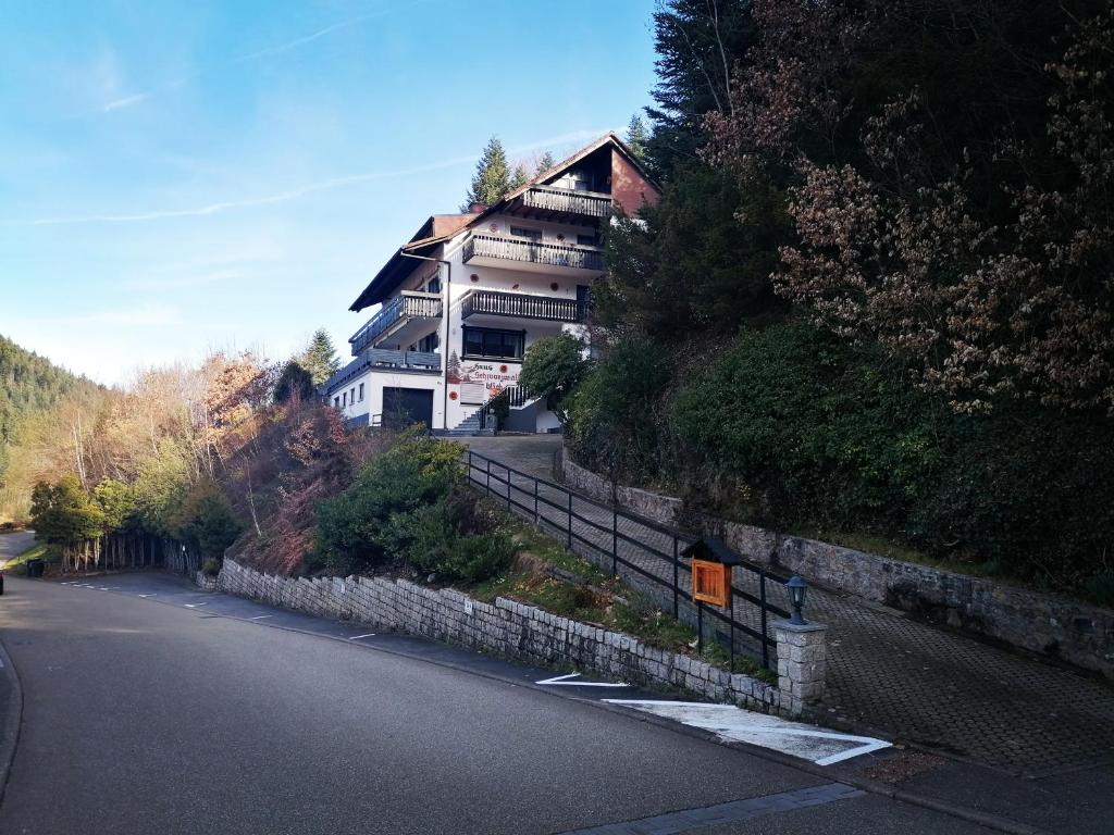 a house on the side of a hill with a road at Haus Schwarzwaldblick in Hornberg