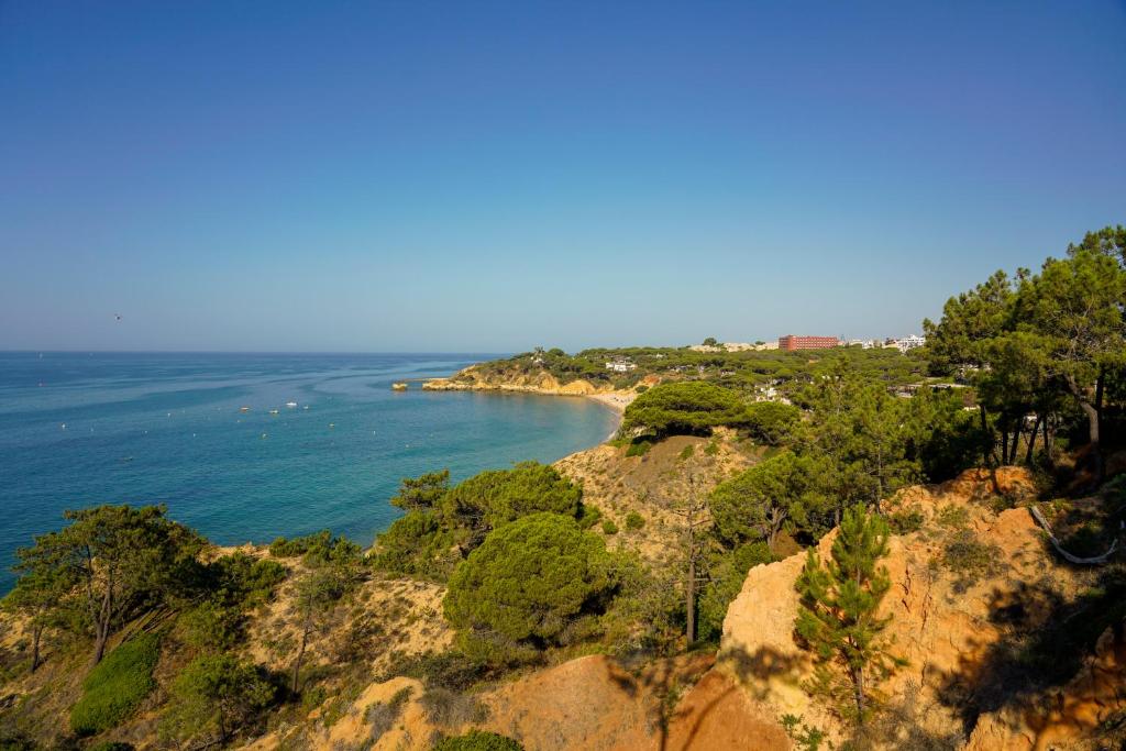 Alfagar Village - Resim 15