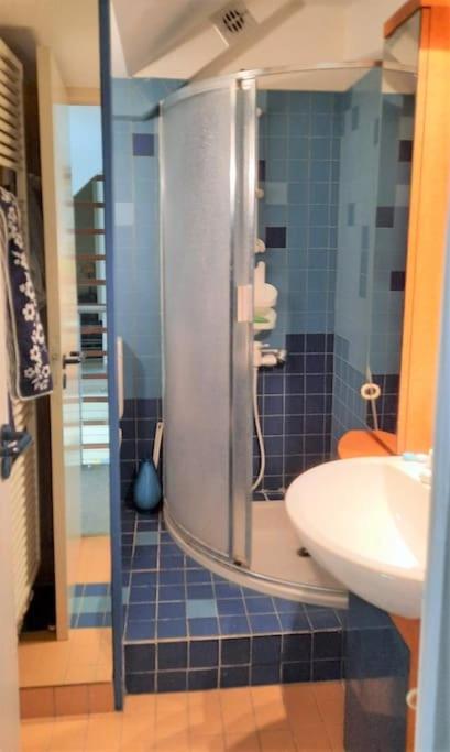 łazienka z prysznicem, toaletą i umywalką w obiekcie Le Nautile, résidence Les Corailleurs, duplex surplombant la mer, 6 pers w mieście Saint-Aygulf