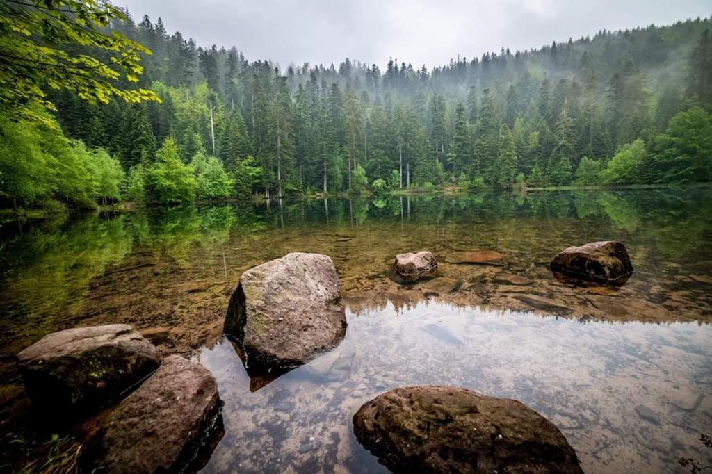 Príroda v okolí dovolenkového domu