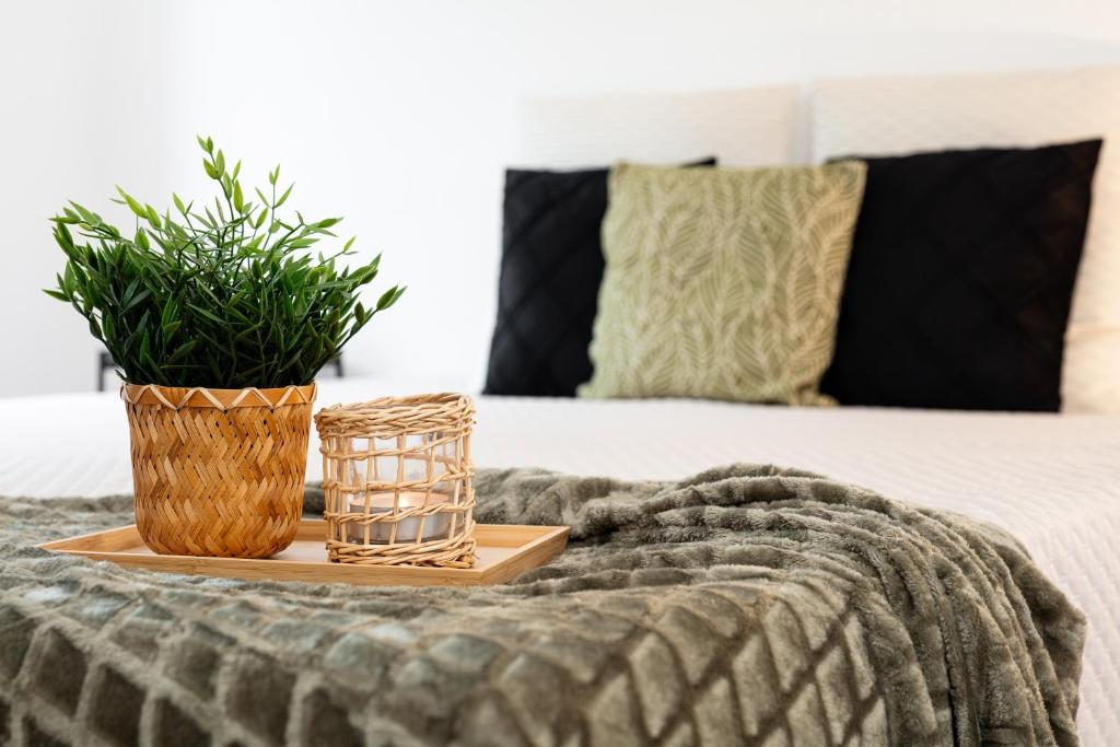 StayRoom Apartments I "Woody2" neben Donaulände في لينز: سرير مع صينية عليها نبات