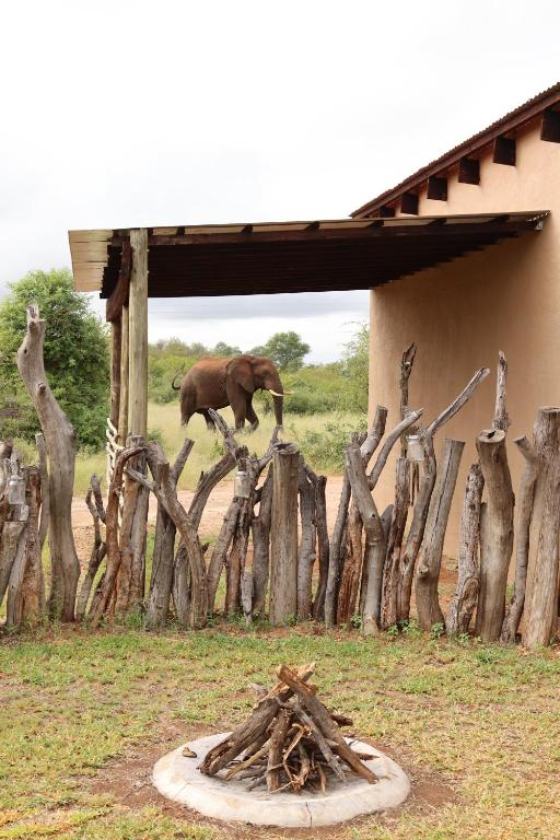 un elefante caminando detrás de un montón de troncos de madera en iMbamuweti Cottage, en Grietjie Game Reserve