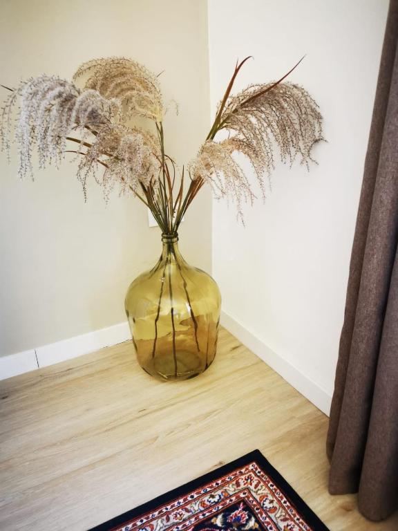 Vida y Mar Apartamentos - 16